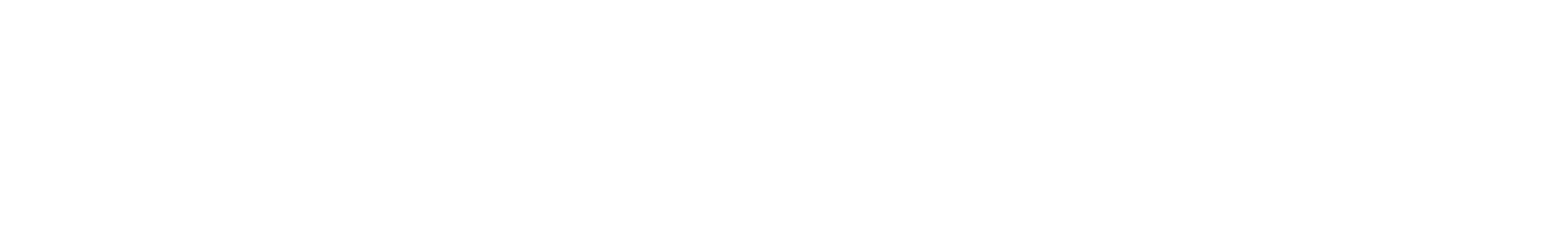 Lohnmeister